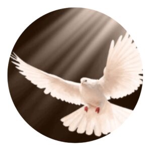 Christliche Bücher für dein geistliches leben