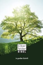 Bibel - Elberfelder in großer Schrift