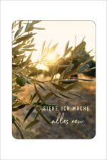 Siehe ich mache alles neu