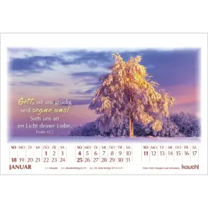 Aufstellkalender - In seinem Licht 2026