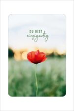 Christliche Grußkarten - Postkarte Du bist einzigartig